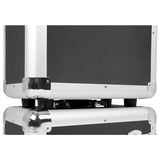 RC100B  Record Case black 100x 12inch