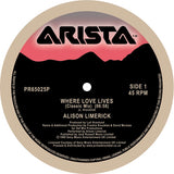 Alison Limerick -Where Love Lives