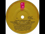 Teddy Pendergrass/You Can't Hide From Yourself / The More I Get, The More I want