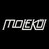 Blame The Mono-Pulse Persisters   [releases May 20, 2025]
