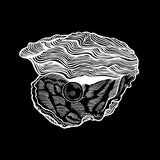 Alfred Czital & Ayu-Hypnotize