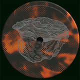 Alfred Czital & Ayu-Hypnotize
