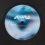 Shoal-Temporal Blend    [Release: 21.05.2025]