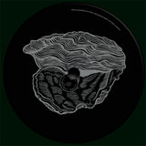 Nicola Cruz-Telemagenta EP  [Release: 27.03.2026]