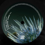 Various-Connor Wall - Slither - Curation Two: D.Dan   [Release: 17.08.2026]