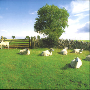 The KLF ‎– Chill Out [LP]  [Clear Vinyl US Edition]