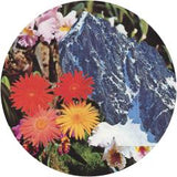 Rob Pearson & Dave Mothersole – Wanting You   [Release: 19.09.2025]