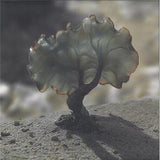 Justin Berkovi-Smv013