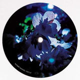 Matt Thibideau-Chromatic Noise