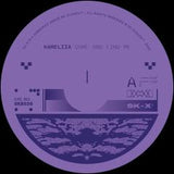 Kameliia-Come and Find Me