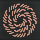 Sera J & Ann- Symbiosis III