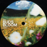 Ferg-Buds Bloom 001