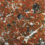 Border One-Spectral Tension