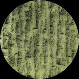 Idu Berg-Dilettantes  [Release: 17.07.2026]