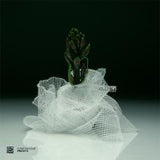 Various-Curation Four: Freddy K   [Release: 14.08.2026]