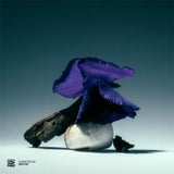 Various-Curation Six: GiGI FM
