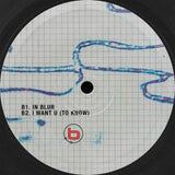Bliss Inc.-echo-chambered     [release September 4, 2026]
