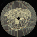 Liquid Earth -Scope Zone (incl. Youandewan Remix)