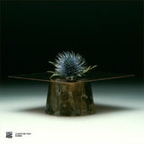 Various-Connor Wall - Slither - Curation Two: D.Dan   [Release: 17.08.2026]