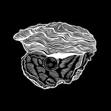 Kalahari Oyster Cult -Cap