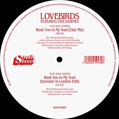 Lovebirds   [feat. Stee Downes -Want You In My Soul