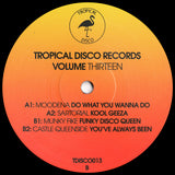 Various Artists  -Tropical Disco Edits Vol.13
